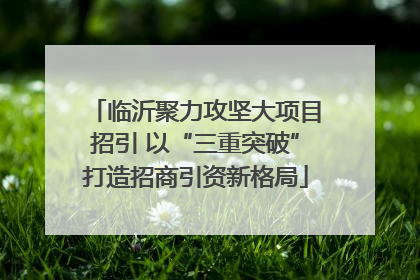 临沂聚力攻坚大项目招引 以“三重突破”打造招商引资新格局
