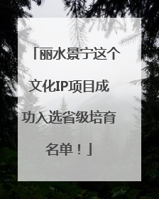丽水景宁这个文化IP项目成功入选省级培育名单！