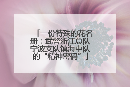一份特殊的花名册：武警浙江总队宁波支队镇海中队的“精神密码”