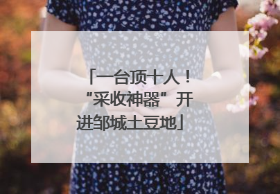一台顶十人！“采收神器”开进邹城土豆地