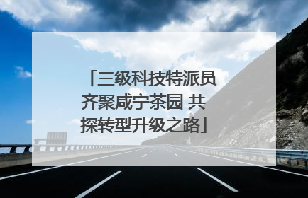 三级科技特派员齐聚咸宁茶园 共探转型升级之路