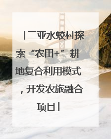 三亚水蛟村探索“农田+”耕地复合利用模式，开发农旅融合项目