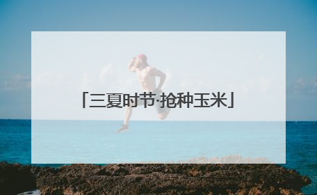 三夏时节·抢种玉米