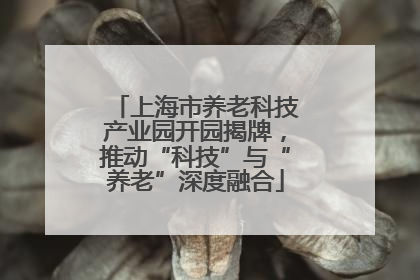 上海市养老科技产业园开园揭牌，推动“科技”与“养老”深度融合