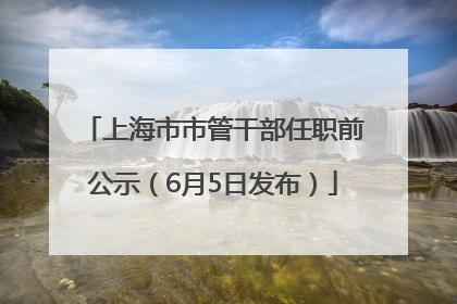 上海市市管干部任职前公示（6月5日发布）