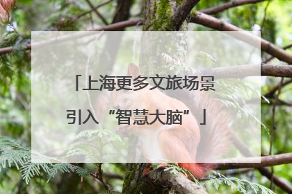 上海更多文旅场景引入“智慧大脑”
