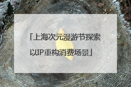 上海次元漫游节探索以IP重构消费场景