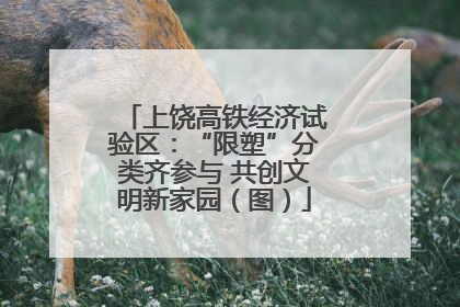上饶高铁经济试验区：“限塑”分类齐参与 共创文明新家园（图）