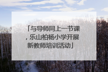 与导师同上一节课，乐山柏杨小学开展新教师培训活动