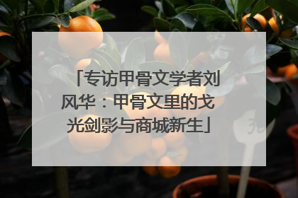 专访甲骨文学者刘风华：甲骨文里的戈光剑影与商城新生