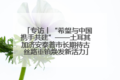 专访丨“希望与中国携手共建”——土耳其加济安泰普市长期待古丝路重镇焕发新活力