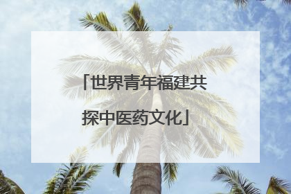 世界青年福建共探中医药文化
