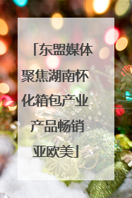 东盟媒体聚焦湖南怀化箱包产业 产品畅销亚欧美