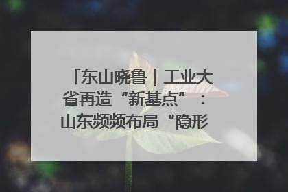 东山晓鲁｜工业大省再造“新基点”：山东频频布局“隐形冠军”背后