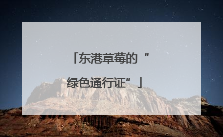 东港草莓的“绿色通行证”