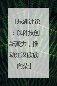 东湖评论：以科技创新聚力，推动江汉欣欣向荣