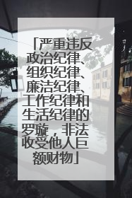 严重违反政治纪律、组织纪律、廉洁纪律、工作纪律和生活纪律的罗璇，非法收受他人巨额财物
