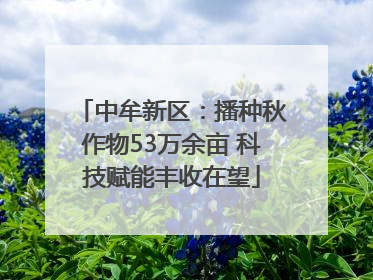 中牟新区：播种秋作物53万余亩 科技赋能丰收在望