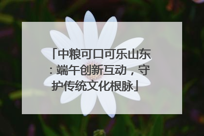 中粮可口可乐山东：端午创新互动，守护传统文化根脉