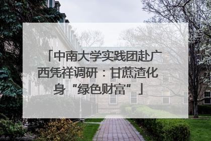 中南大学实践团赴广西凭祥调研：甘蔗渣化身“绿色财富”