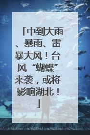 中到大雨、暴雨、雷暴大风！台风“蝴蝶”来袭，或将影响湖北！