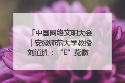 中国网络文明大会｜安徽师范大学教授刘道胜：“E”览徽风，构筑中华民族共有精神家园