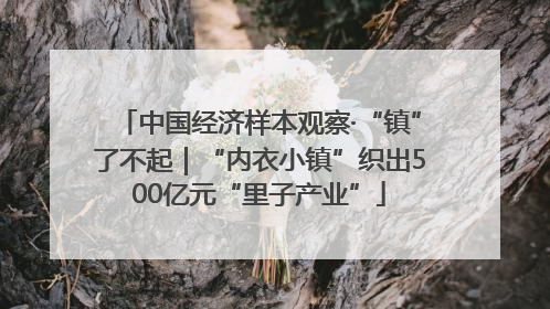 中国经济样本观察·“镇”了不起｜“内衣小镇”织出500亿元“里子产业”