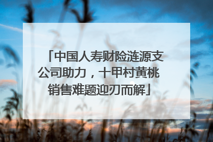 中国人寿财险涟源支公司助力，十甲村黄桃销售难题迎刃而解