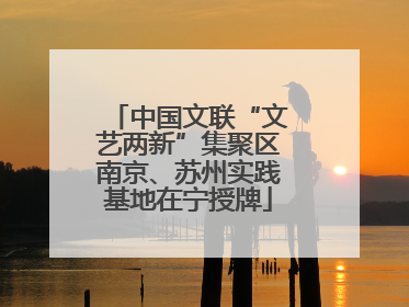 中国文联“文艺两新”集聚区南京、苏州实践基地在宁授牌