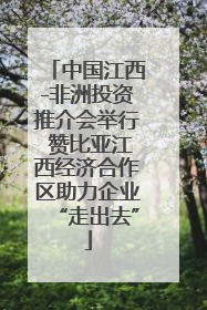 中国江西-非洲投资推介会举行 赞比亚江西经济合作区助力企业“走出去”