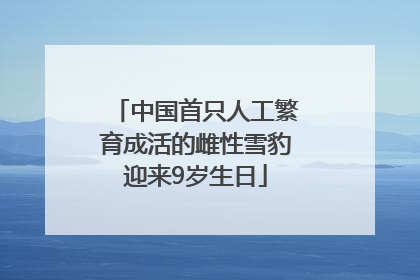 中国首只人工繁育成活的雌性雪豹迎来9岁生日