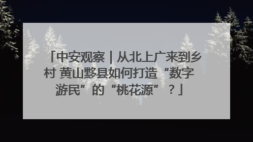 中安观察｜从北上广来到乡村 黄山黟县如何打造“数字游民”的“桃花源”？