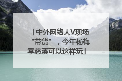 中外网络大V现场“带货”，今年杨梅季慈溪可以这样玩