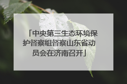 中央第三生态环境保护督察组督察山东省动员会在济南召开
