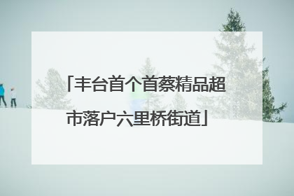 丰台首个首蔡精品超市落户六里桥街道