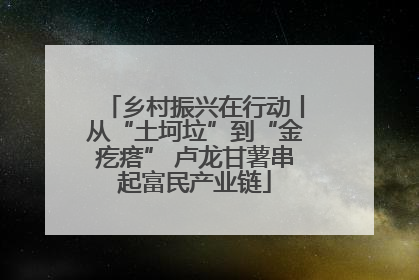 乡村振兴在行动丨从“土坷垃”到“金疙瘩” 卢龙甘薯串起富民产业链