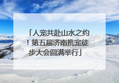 人宠共赴山水之约！第五届济南携宠徒步大会圆满举行