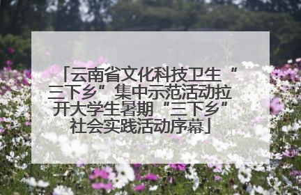 云南省文化科技卫生“三下乡”集中示范活动拉开大学生暑期“三下乡”社会实践活动序幕