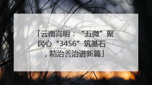 云南嵩明：“五微”聚民心“3456”筑基石，精治善治谱新篇