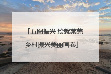 五图振兴 绘就莱芜乡村振兴美丽画卷