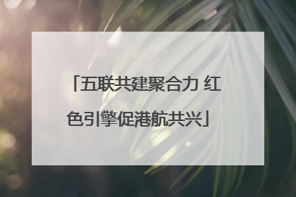 五联共建聚合力 红色引擎促港航共兴