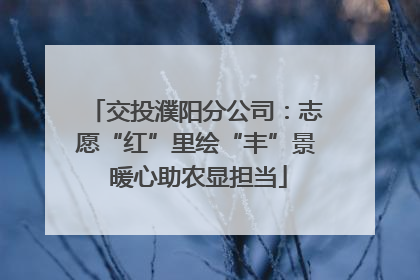 交投濮阳分公司：志愿“红”里绘“丰”景 暖心助农显担当