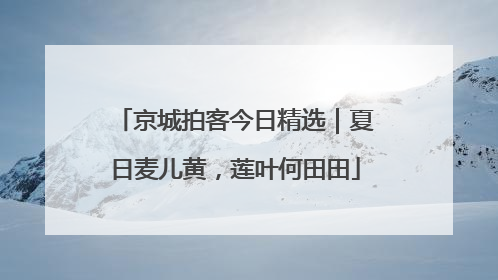 京城拍客今日精选｜夏日麦儿黄，莲叶何田田