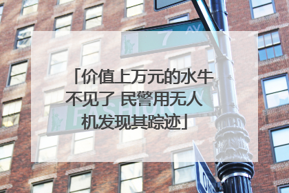 价值上万元的水牛不见了 民警用无人机发现其踪迹