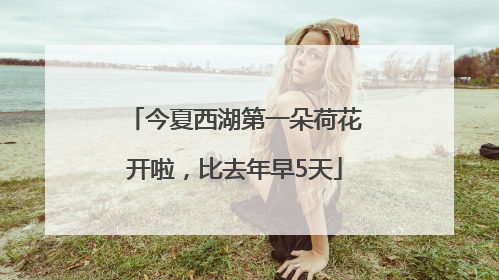 今夏西湖第一朵荷花开啦，比去年早5天