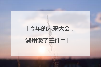 今年的未来大会，湖州谈了三件事