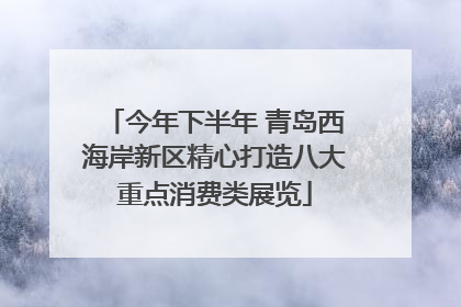 今年下半年 青岛西海岸新区精心打造八大重点消费类展览