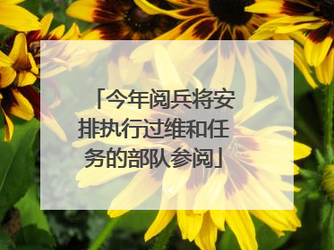 今年阅兵将安排执行过维和任务的部队参阅