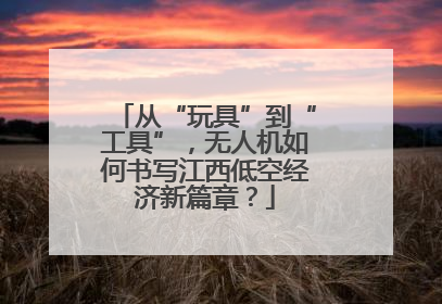 从“玩具”到“工具”，无人机如何书写江西低空经济新篇章？