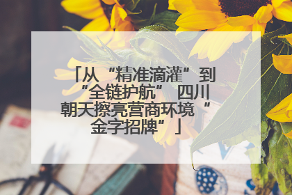从“精准滴灌”到“全链护航” 四川朝天擦亮营商环境“金字招牌”